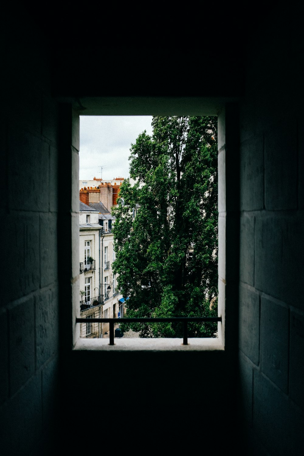 green trees on white concrete building during daytime