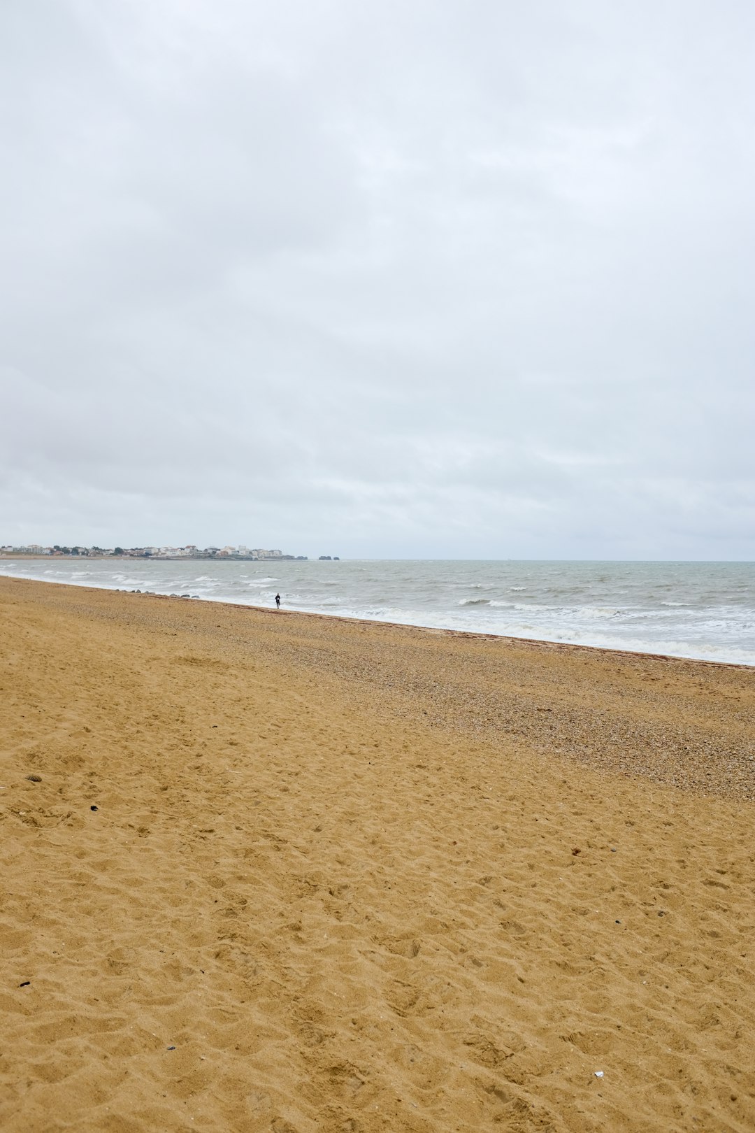 people on beach during daytime