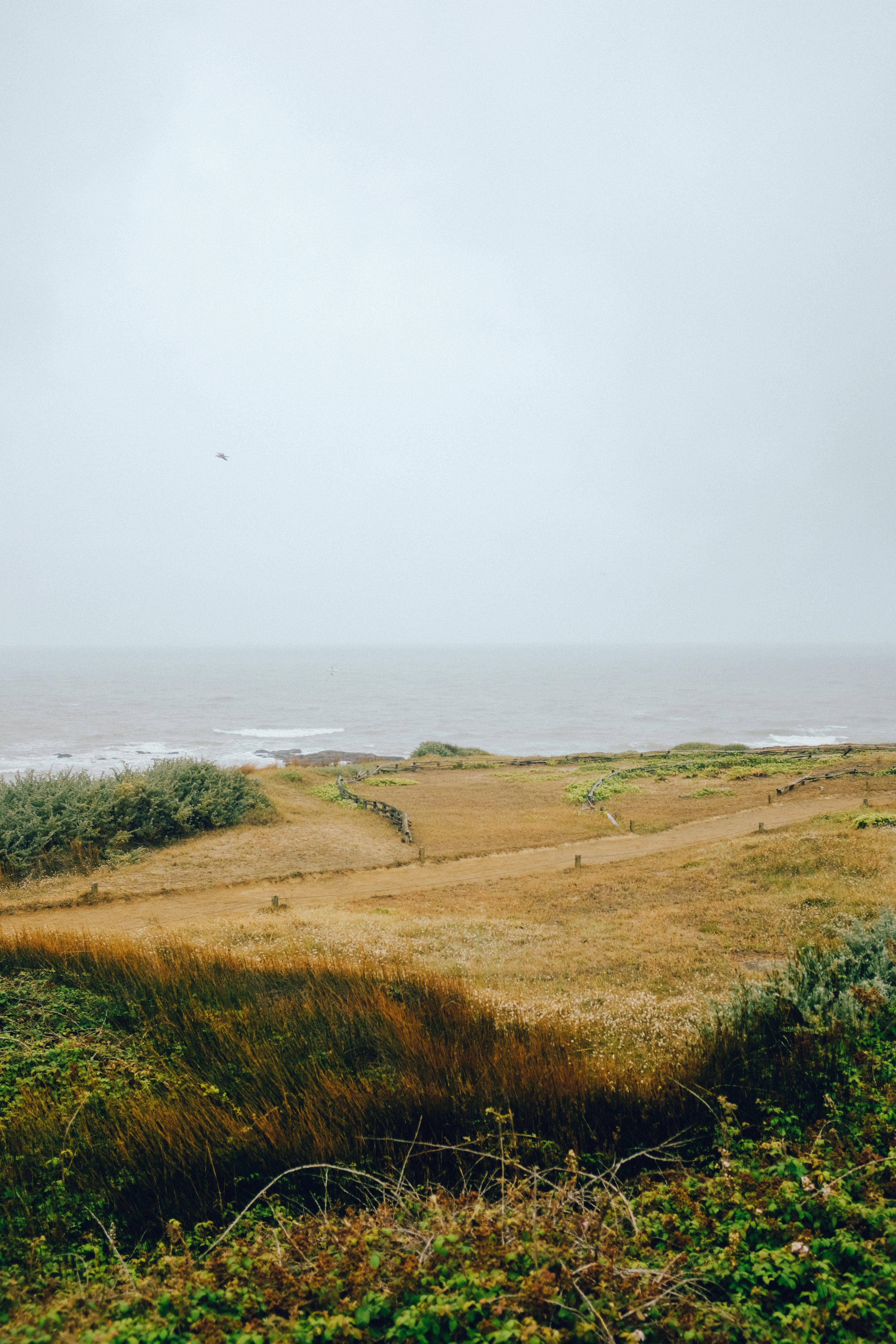 Photo by adrienolichon