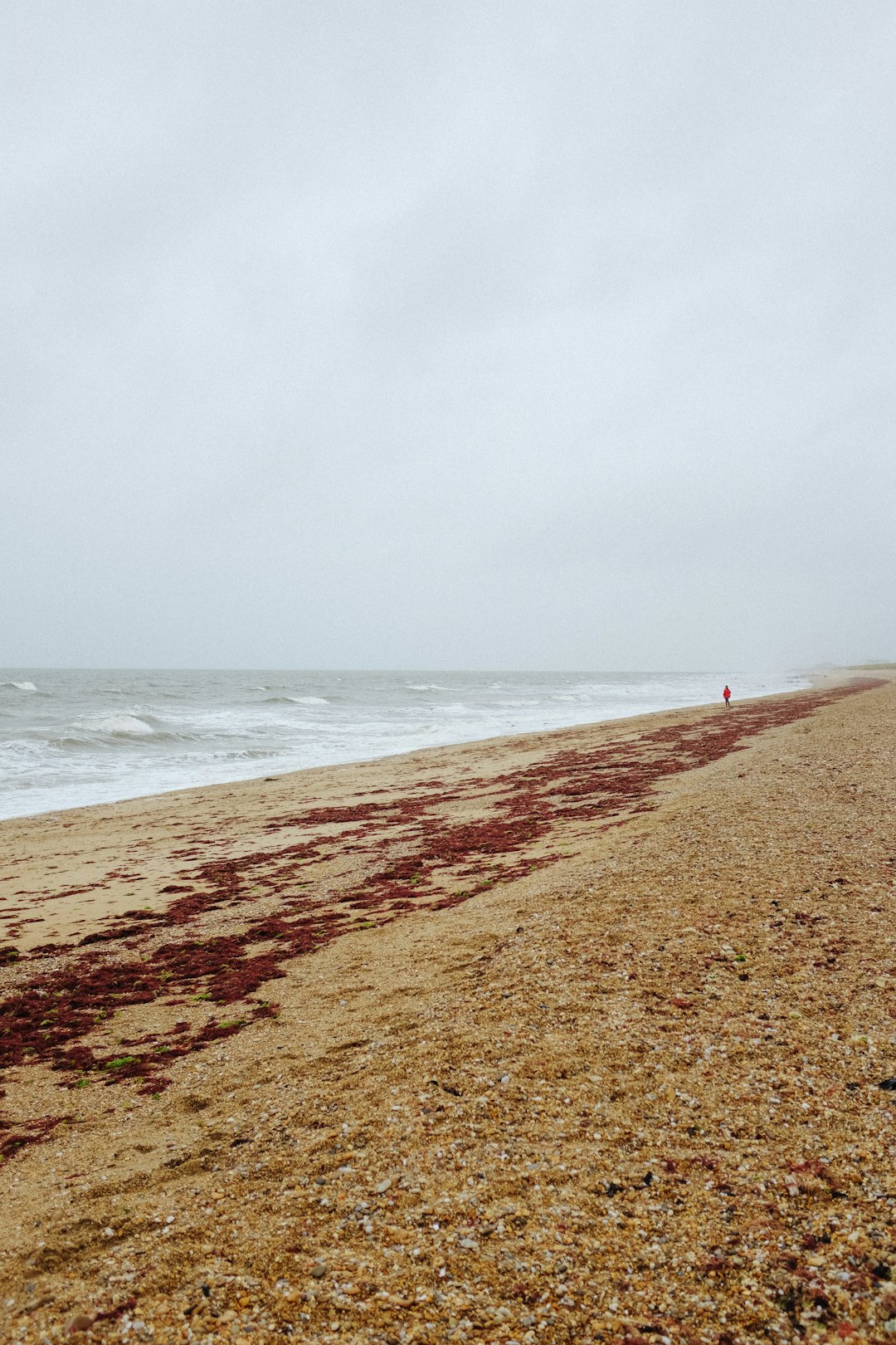 person walking on beach during daytime