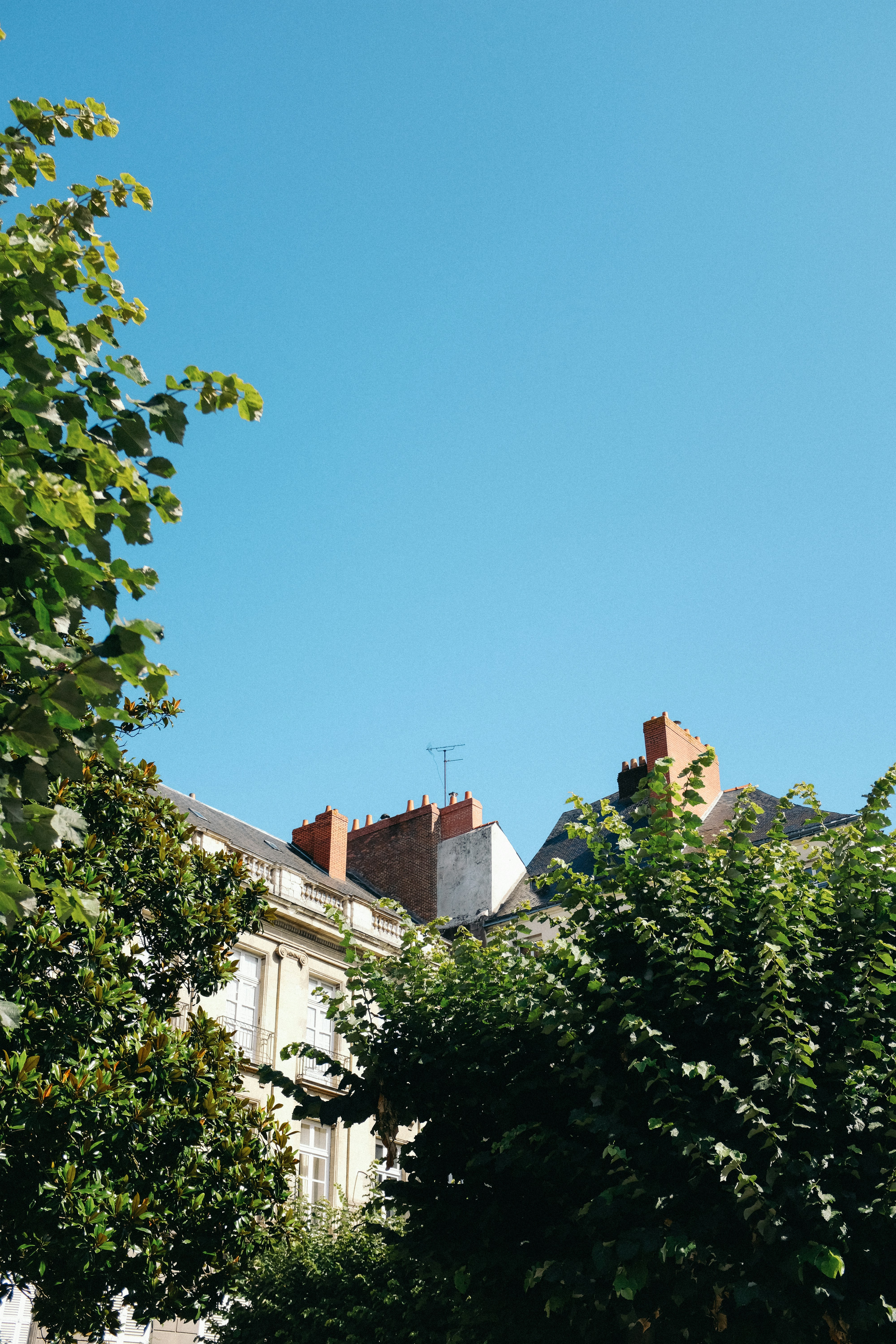Photo by adrienolichon