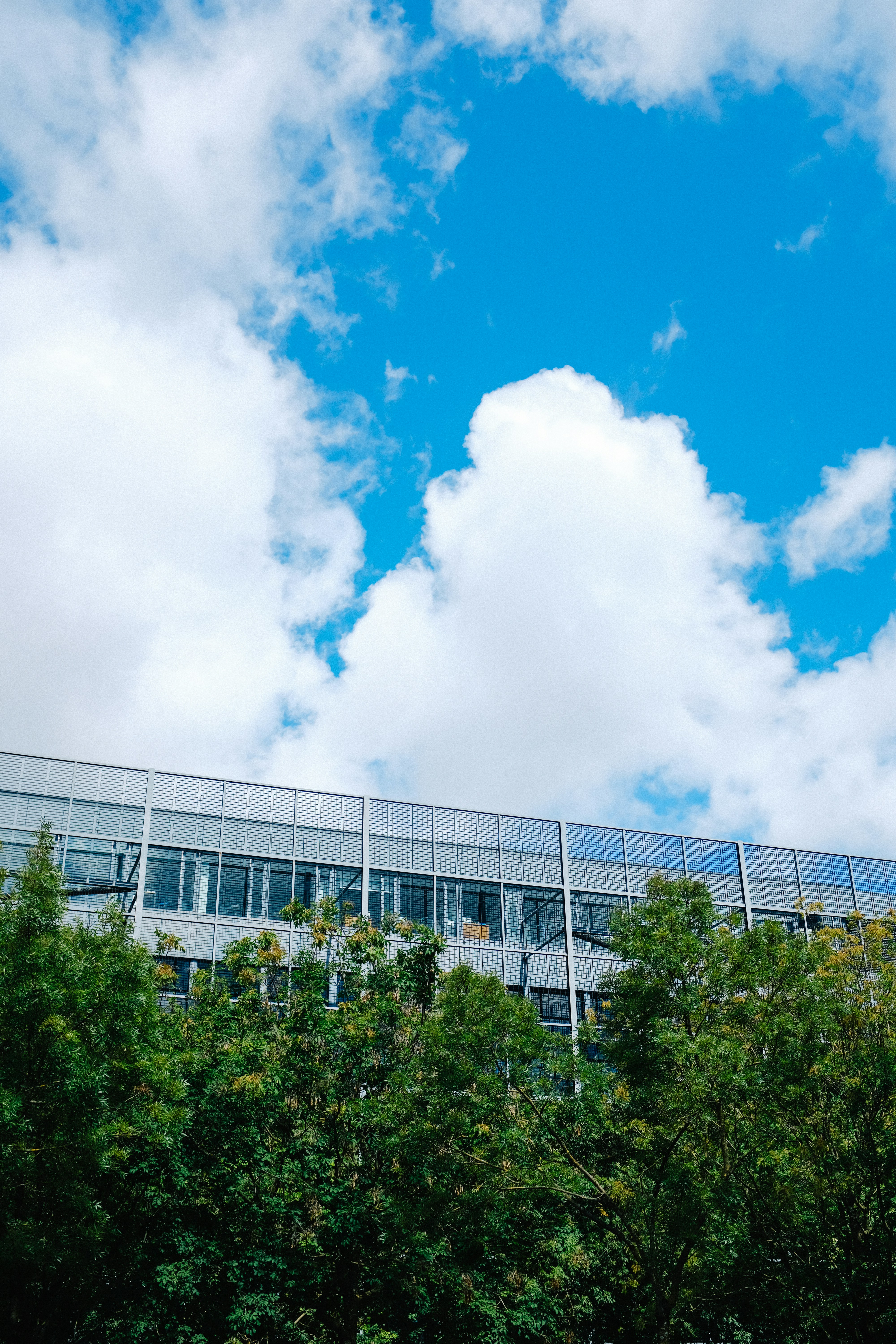 Photo by adrienolichon