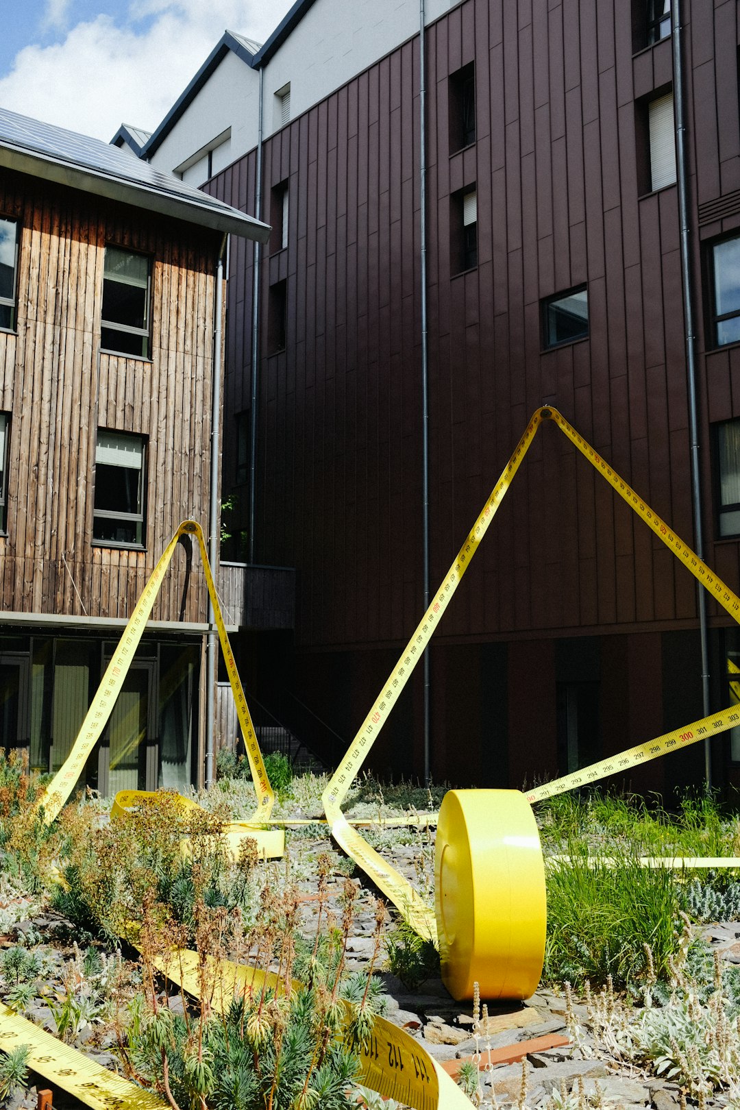 yellow and blue metal ladder