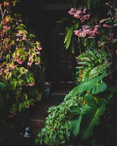 green and pink leaves on brown wooden fence