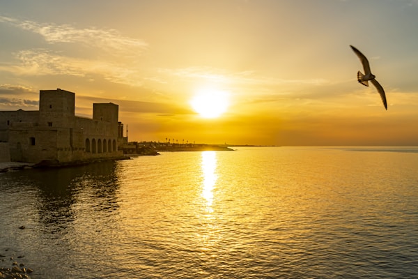What to See in Trani: A Complete Travel Guide to Discovering the Charm