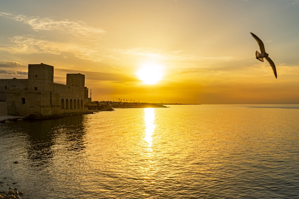 silhouette of building near body of water during sunset