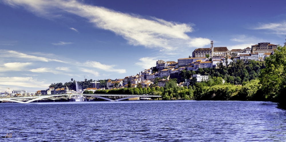 city buildings near body of water under blue sky during daytime