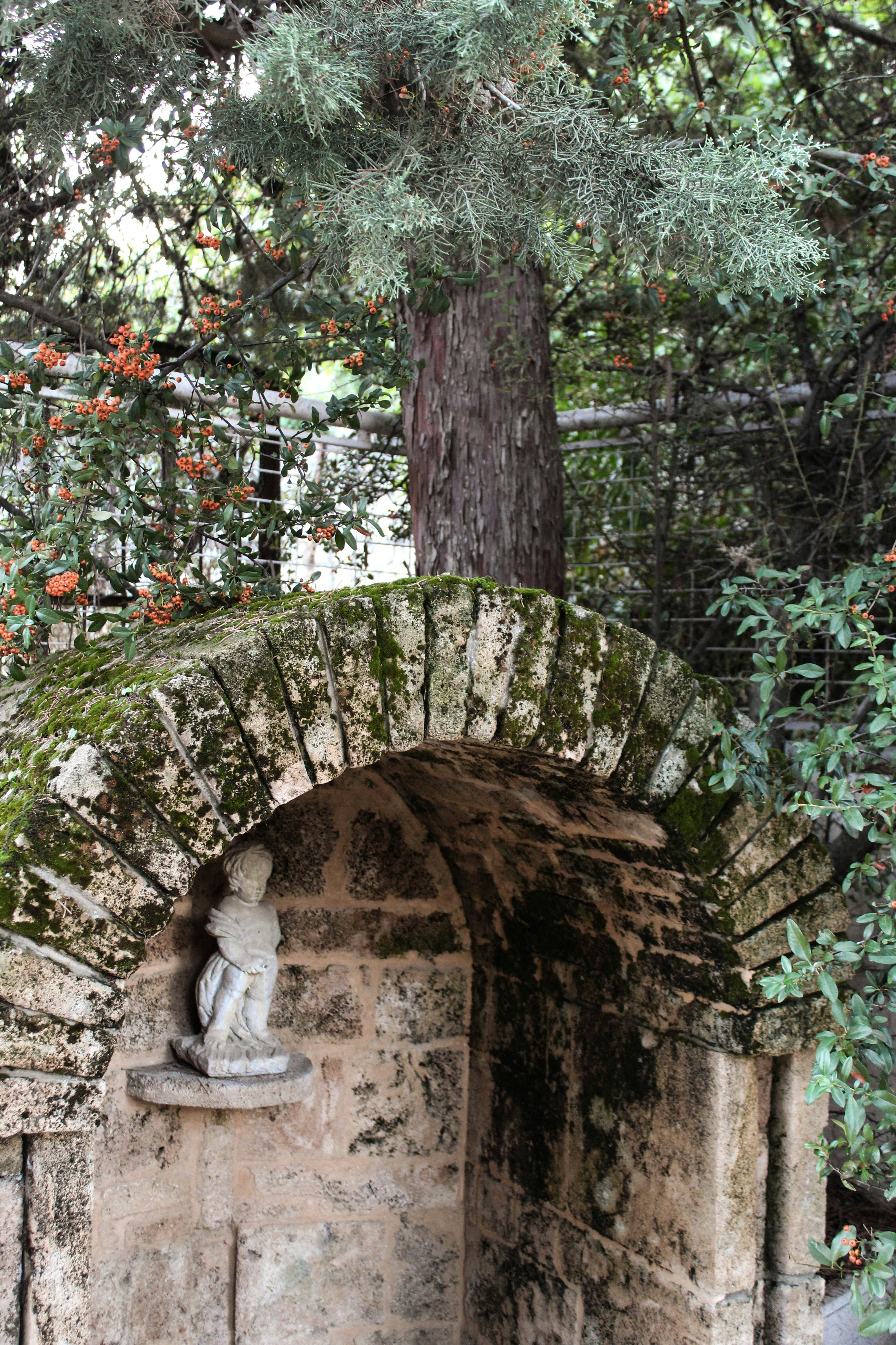 Photo by haddadjoanne