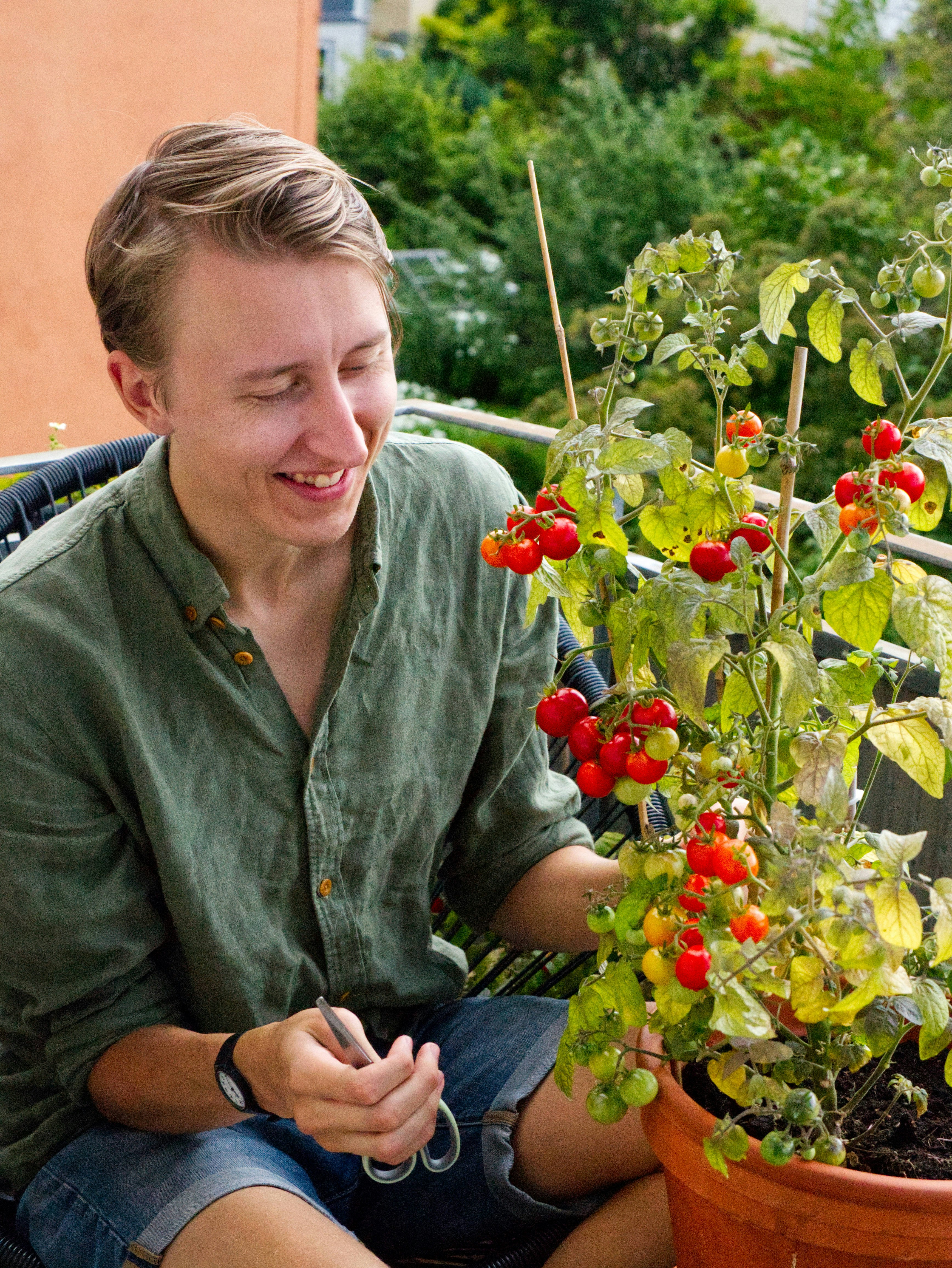 How to Grow Tomatoes in Containers: A Beginner-Friendly Guide for Home Gardeners in the U.S.