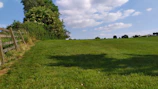 Lush green fields surrounding the farm with a rustic wooden fence and blue sky.