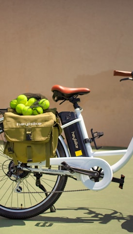 white and black bicycle with green fruit on top