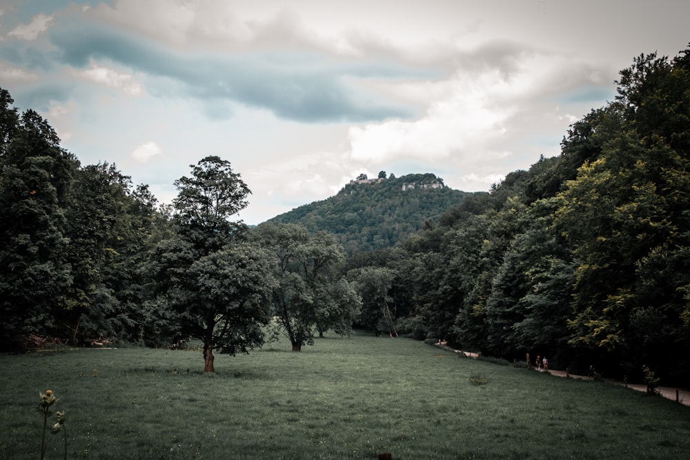 green grass field near green trees and mountain under cloudy sky during daytime