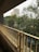 A view from a balcony or an enclosed structure featuring a safety net in the foreground. The perspective looks out onto a backdrop of dense foliage with trees, and a tall building is visible in the distance through the net. The railing of the balcony adds a linear element to the composition.