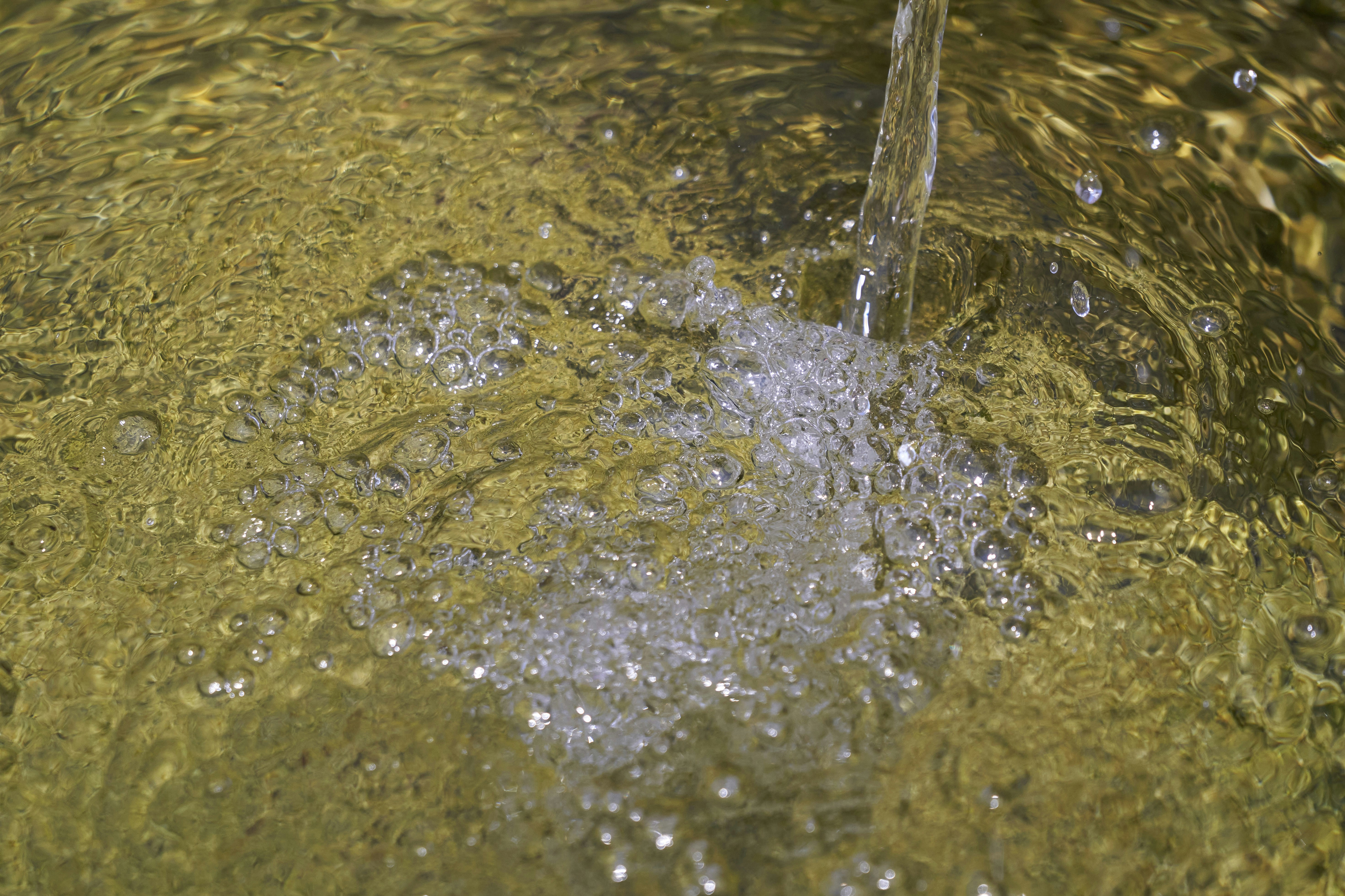 Photo by wolfgang_hasselmann