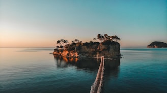 brown wooden dock on body of water during daytime