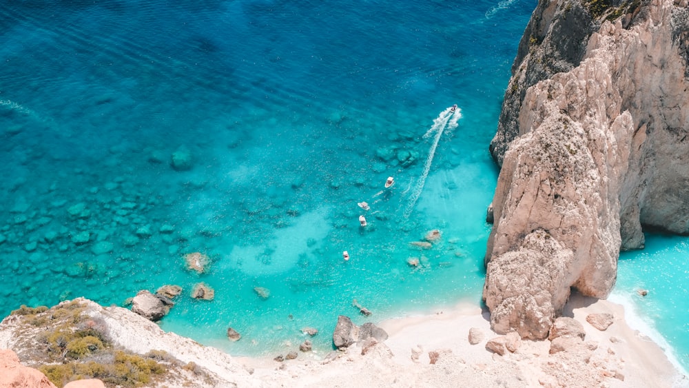 people swimming on sea during daytime