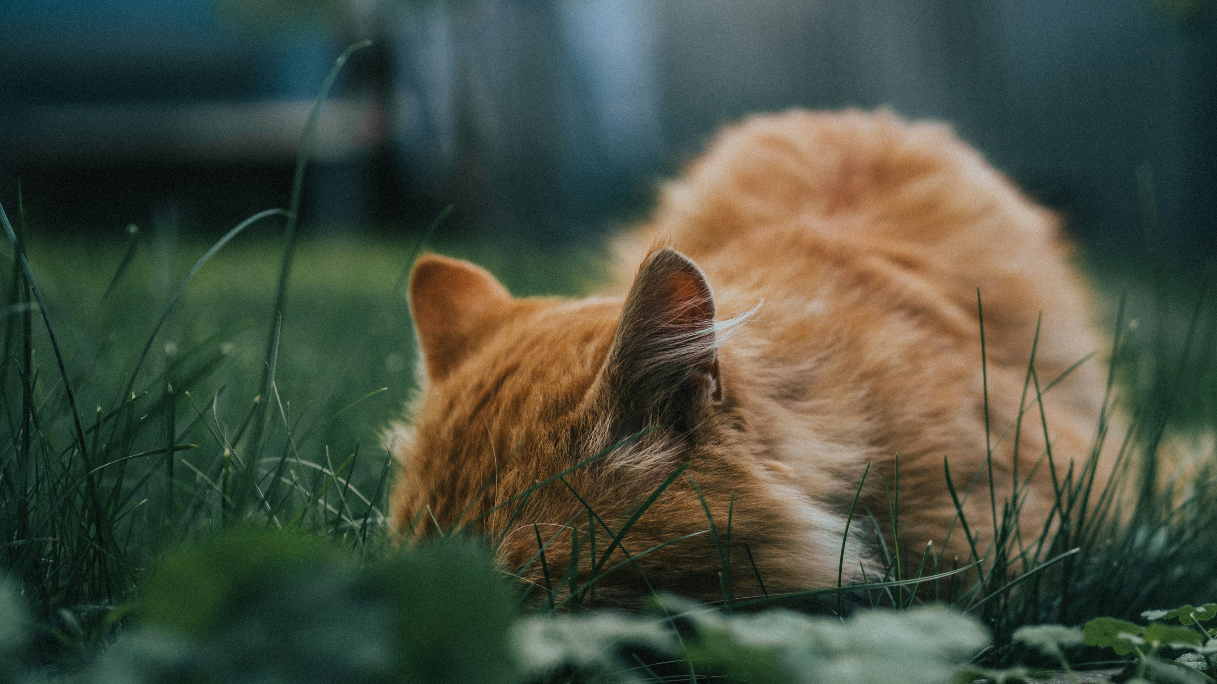 Photo by maksim_taawy