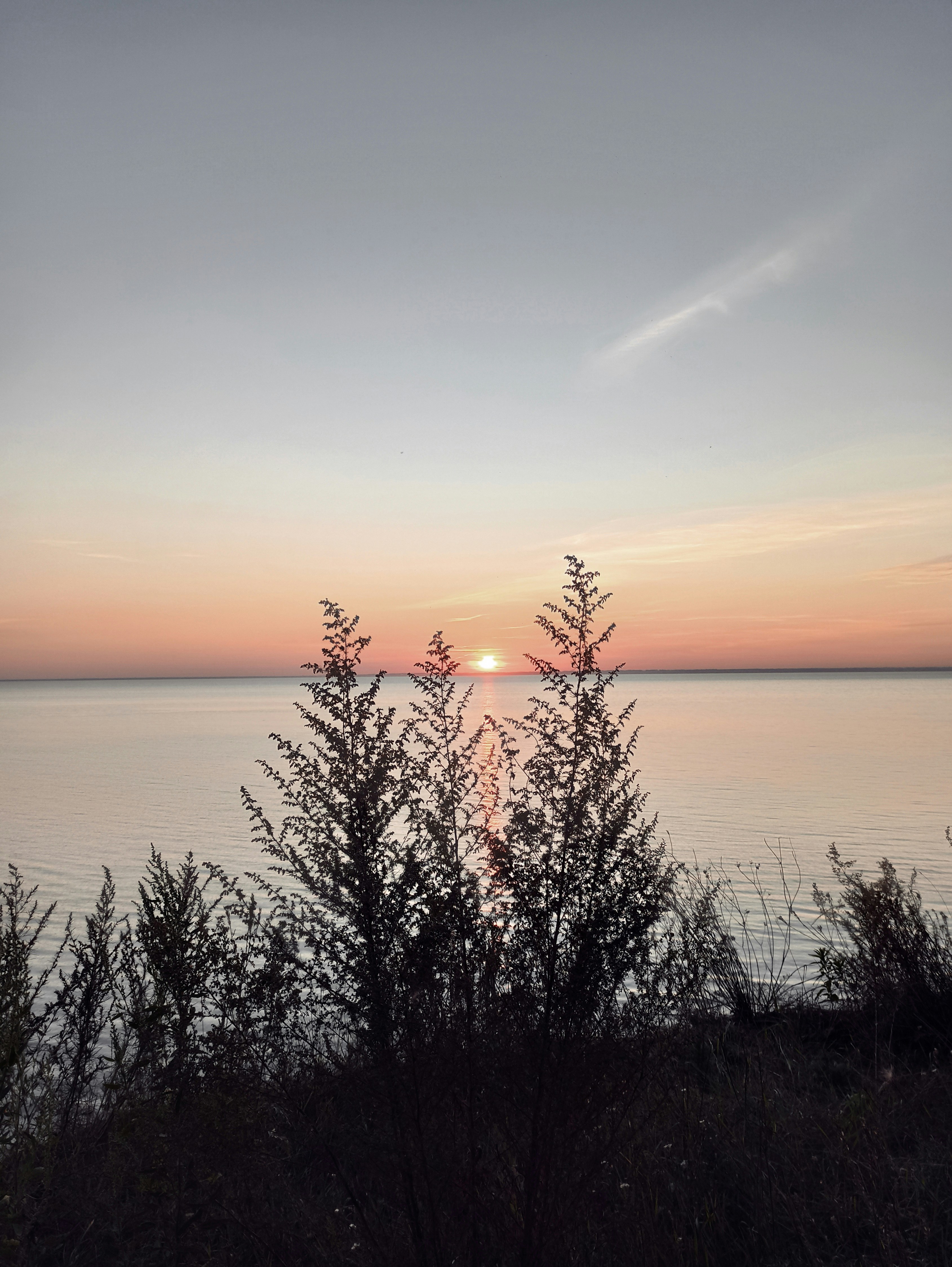 Photo by 28081995_love