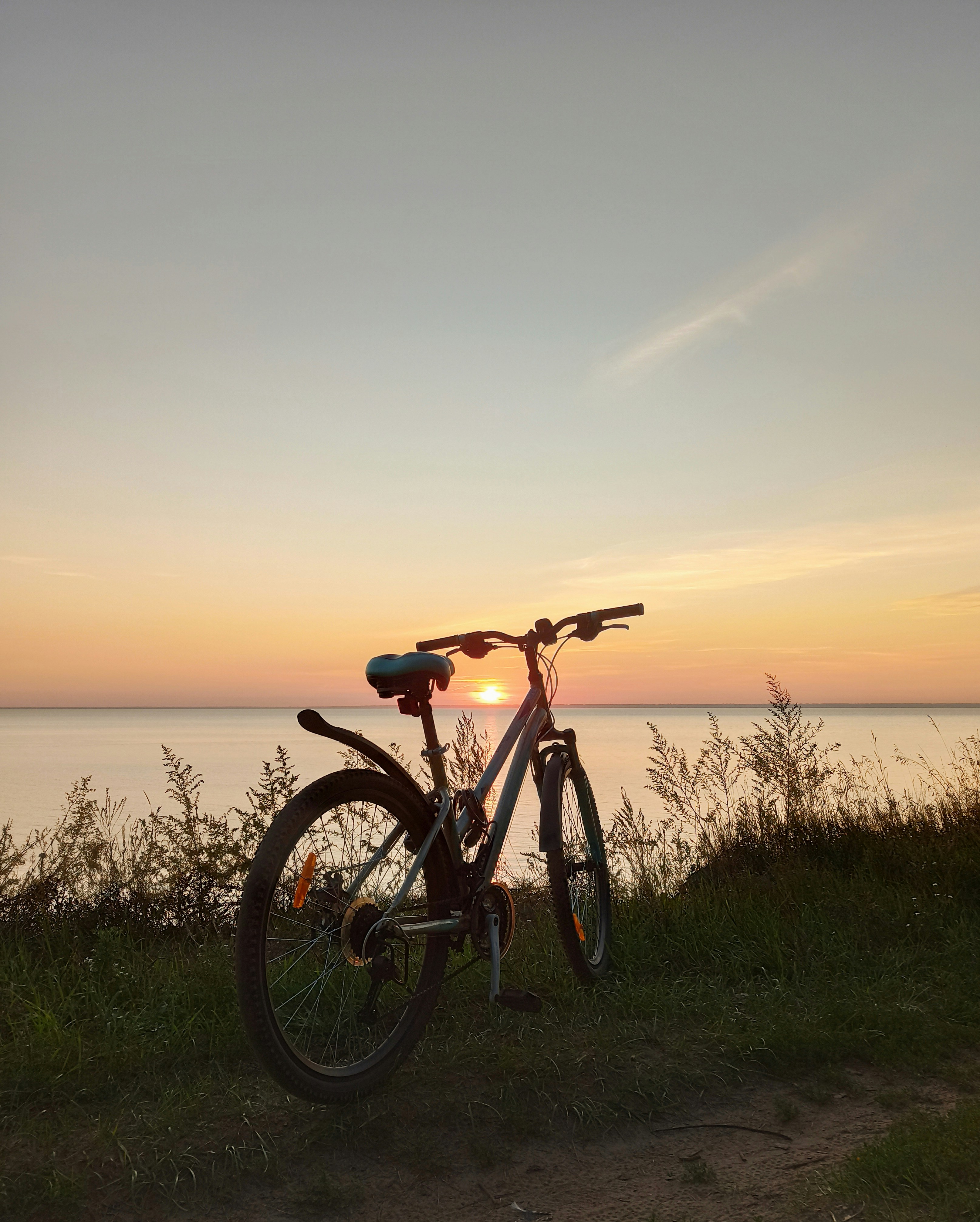 black and orange hardtail mountain bike on green grass field near body of water during daytime