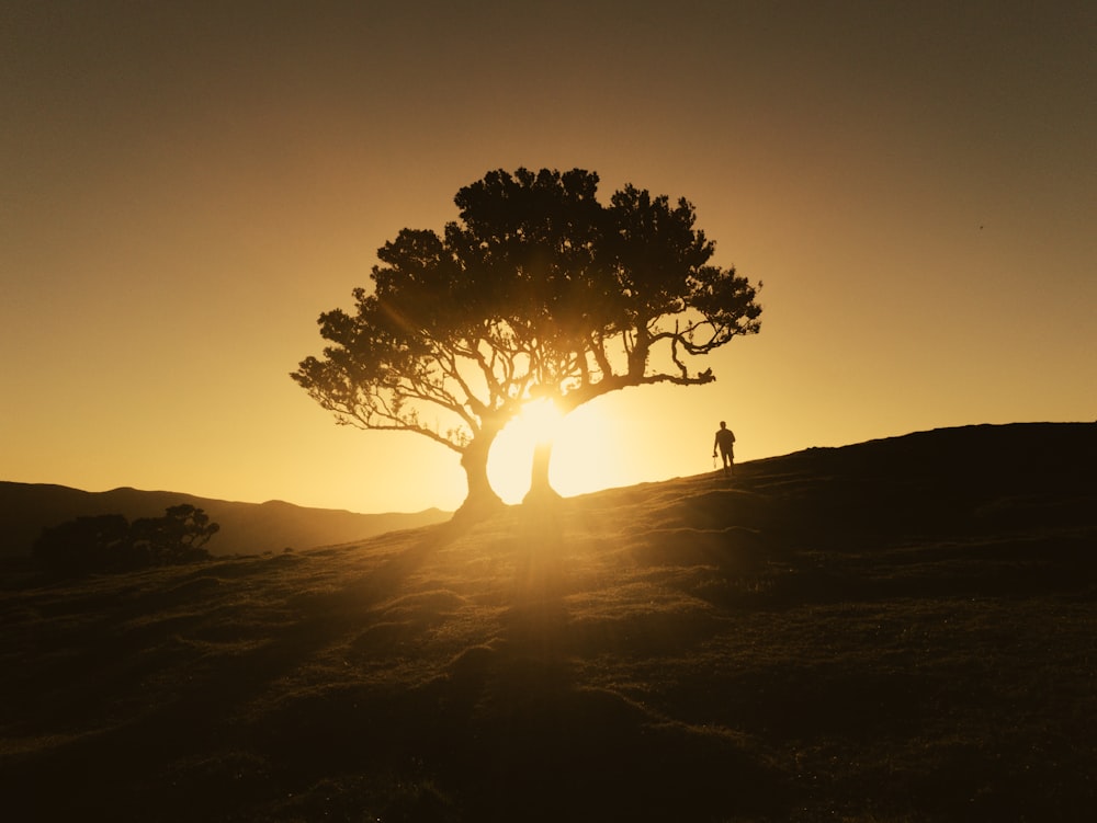 silhouette of 2 people walking on mountain during sunset