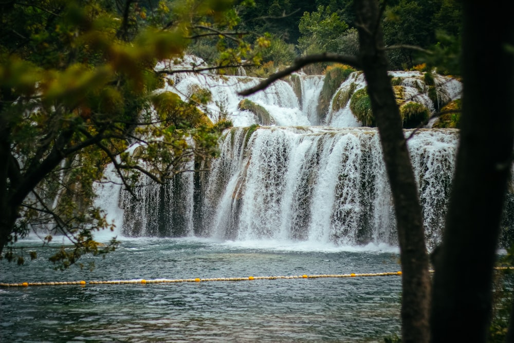 water falls in the middle of the forest