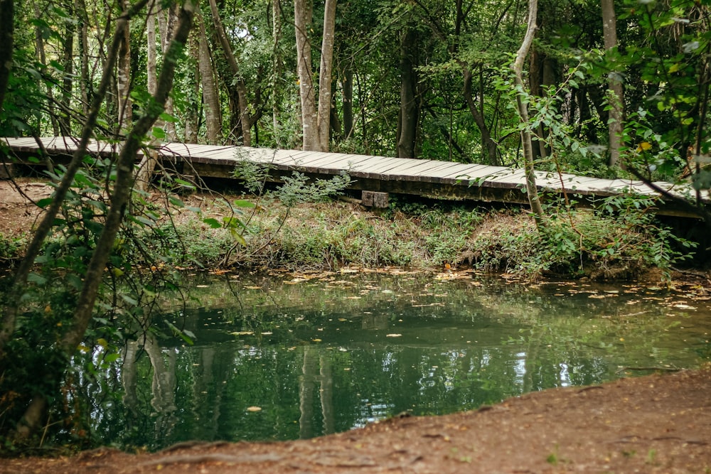 brown wooden dock on river during daytime