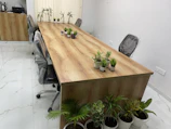 A modern conference room features a long wooden table surrounded by office chairs with protective covering. Small potted plants are arranged across the table, providing a touch of greenery. The floor is tiled in white with subtle marble patterns, and a cabinet with an electric kettle and paper items is seen in the background. Vertical blinds cover the window, and additional potted plants are placed along one side.