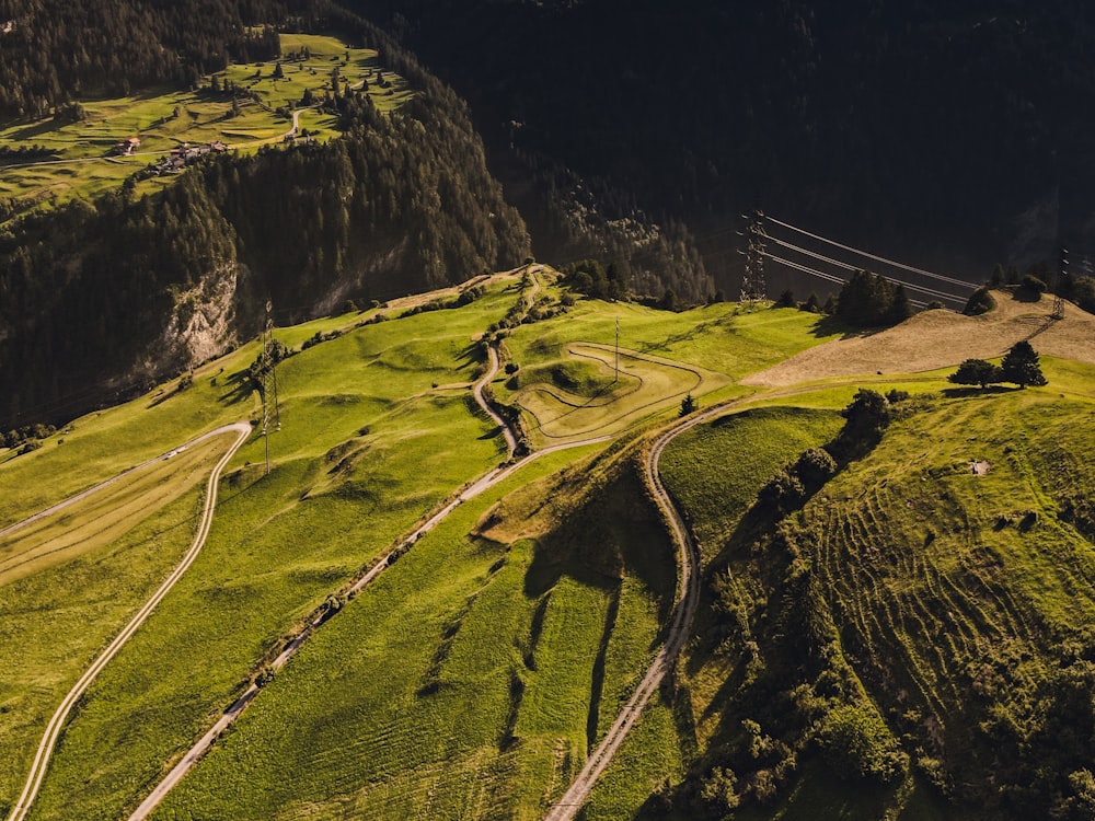 green grass field near road