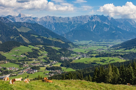 green trees and mountains during daytime in Leogang Austria