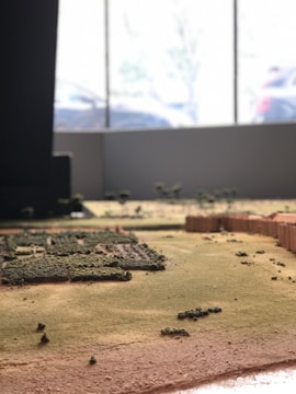 A miniature landscape model with various small green patches representing vegetation. The model includes areas resembling fields or gardens, with tiny clusters that look like trees. A window in the background illuminates the scene, with blurred views of cars outside.