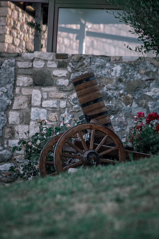 brown wooden wheel on green grass field in Ulcinj Montenegro
