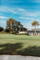 A serene golf course green surrounded by palm trees and a few other trees, with a clubhouse or residential building in the background. The sky is clear with a few clouds, and the overall scene appears calm and peaceful.