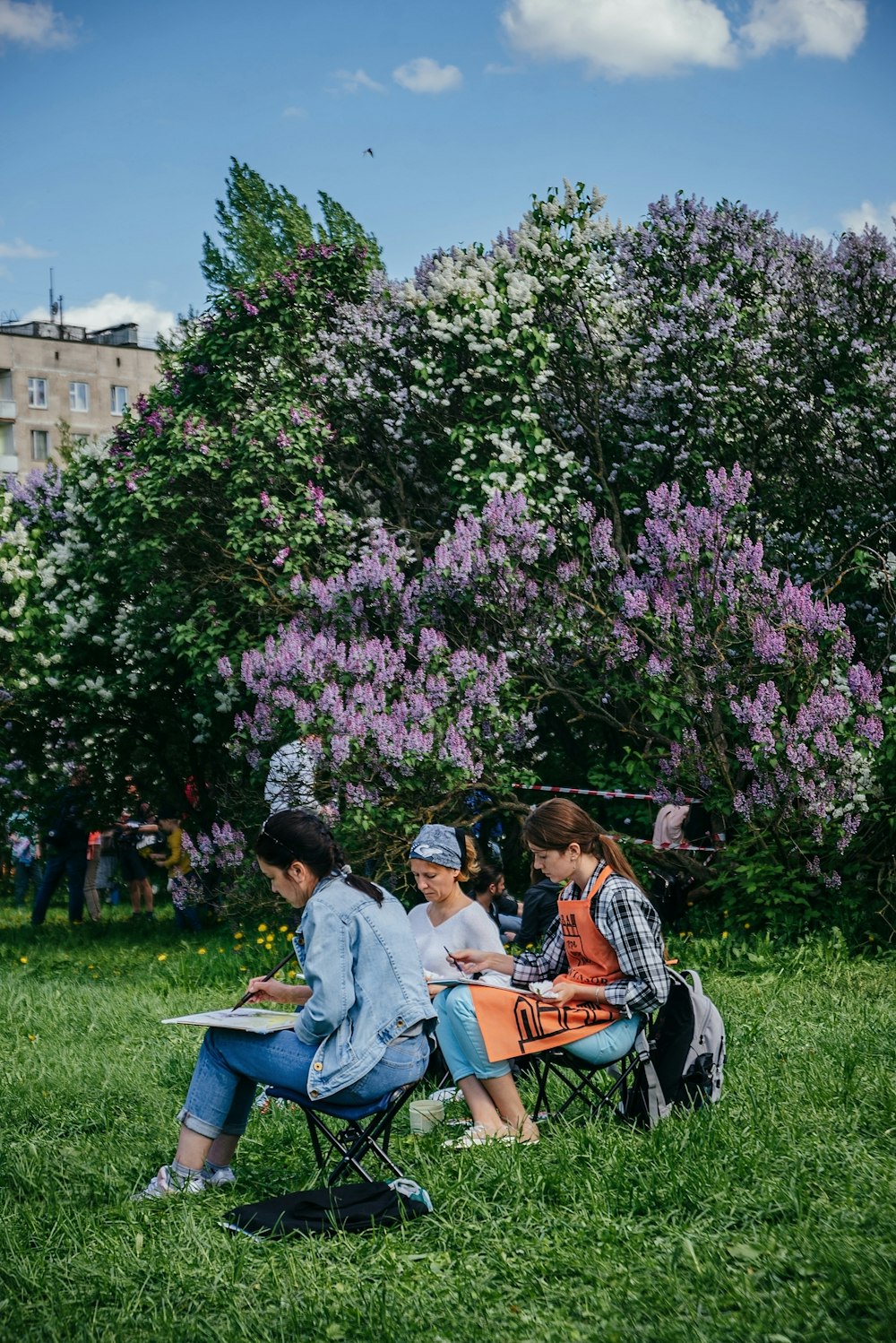 people sitting on bench under green tree during daytime
