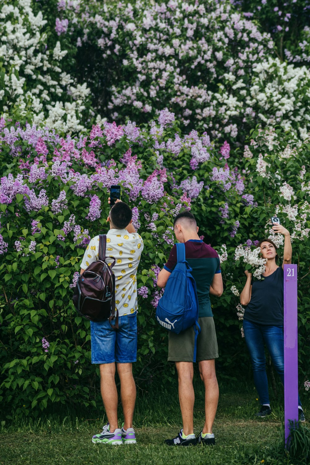 man and woman standing beside purple flower plant during daytime