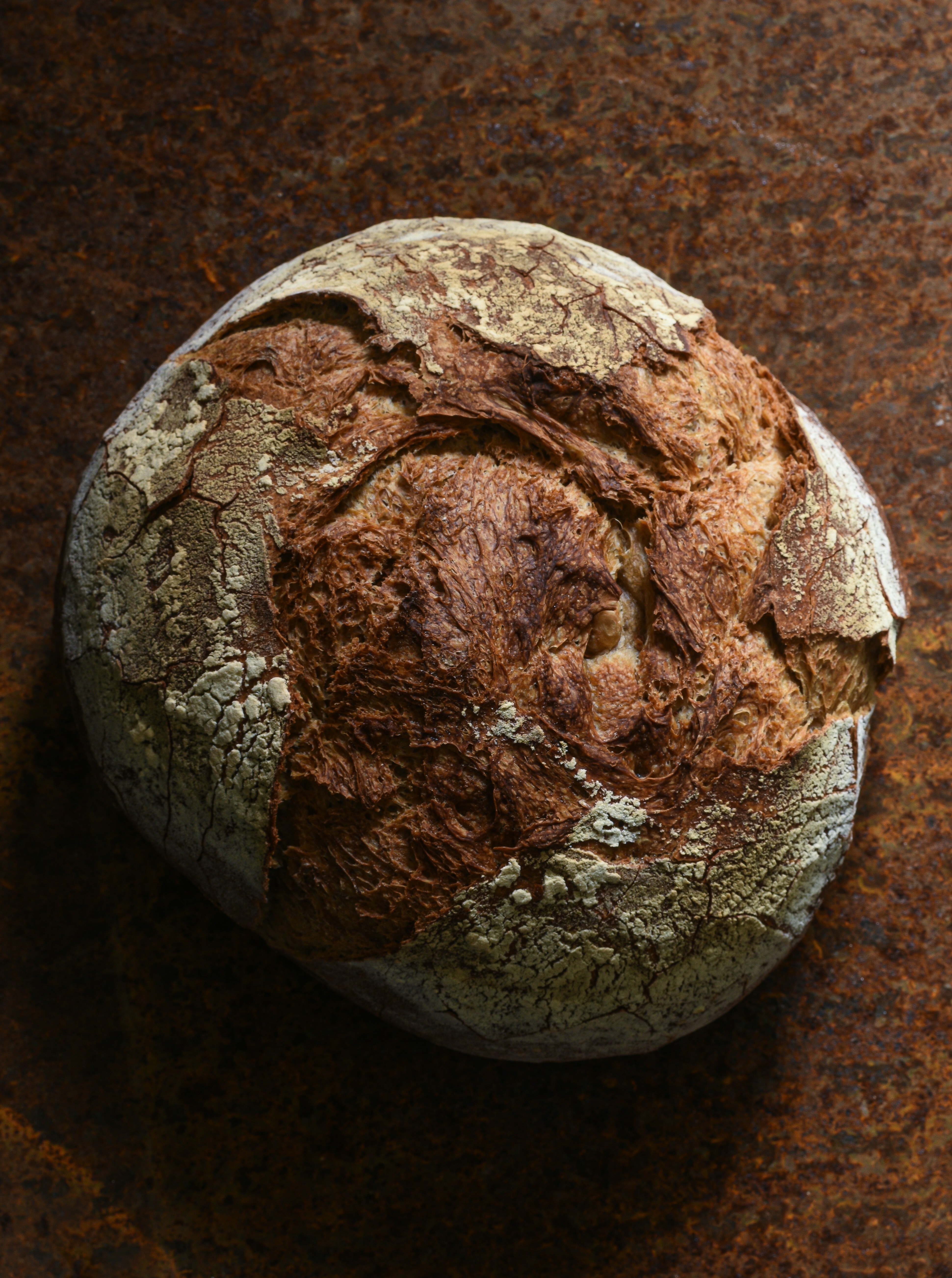 Photo by blackieshoot