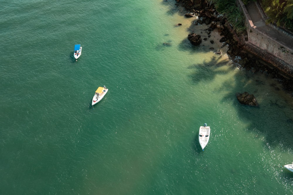 aerial view of people riding on white boat on green sea during daytime