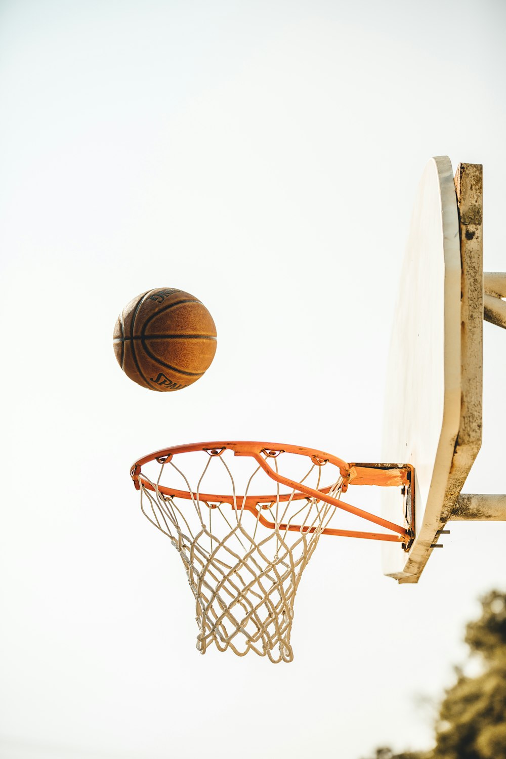 pallacanestro su canestro da basket con sfondo bianco