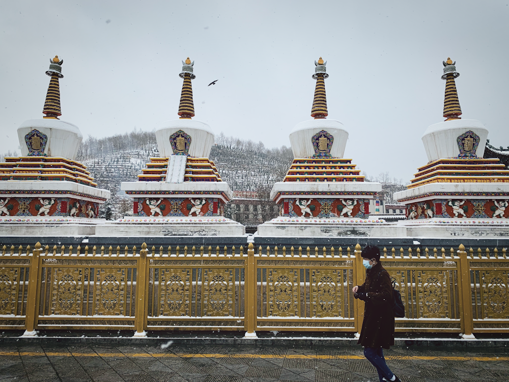 man in brown jacket standing in front of gold and white temple during daytime