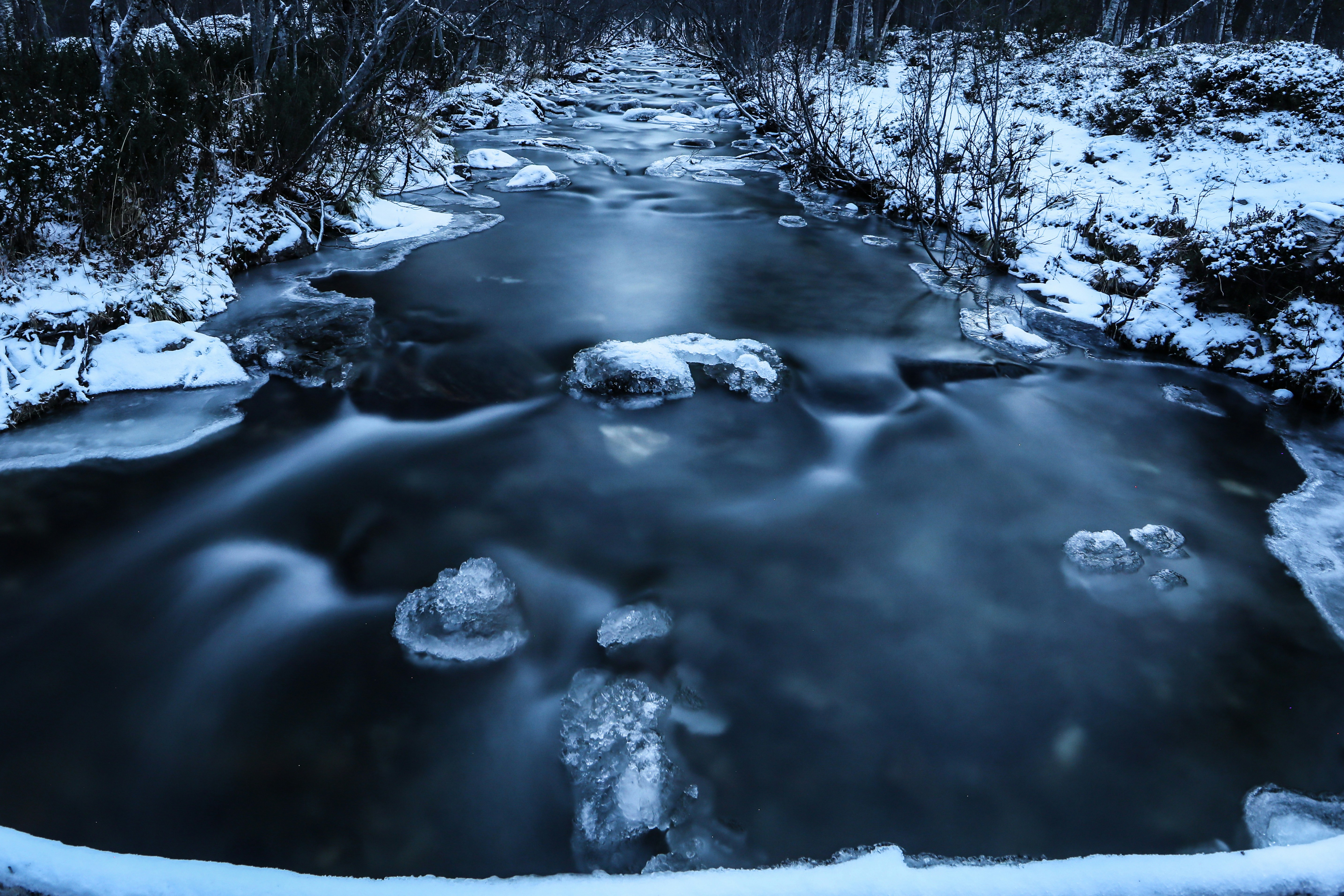 Photo by theherregods_loppa