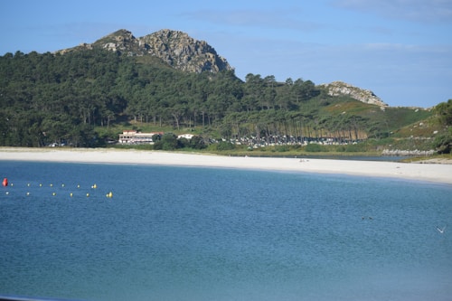 A serene landscape with a calm, blue sea touching the shore of a sandy beach. Beyond the beach, there is a lush, green forest that extends up a rocky hillside. A few scattered buildings are visible along the tree line. The sky is mostly clear with a few clouds.