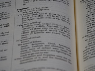 Examples of genealogical charts and family trees created for clients.