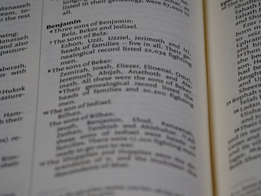 A page from a book with text referring to genealogies, specifically mentioning names such as Benjamin, Bela, Beker, and their sons. The text is formatted in two columns with bold headings for sections.