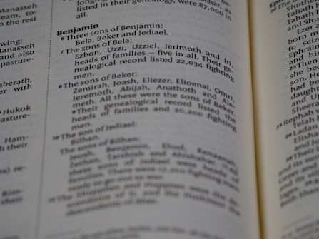 A page from a book with text referring to genealogies, specifically mentioning names such as Benjamin, Bela, Beker, and their sons. The text is formatted in two columns with bold headings for sections.