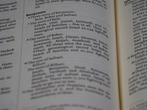 A page from a book with text referring to genealogies, specifically mentioning names such as Benjamin, Bela, Beker, and their sons. The text is formatted in two columns with bold headings for sections.