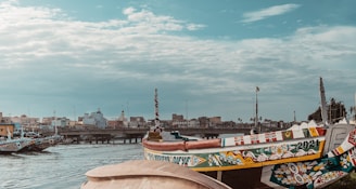 brown and white boat on water during daytime