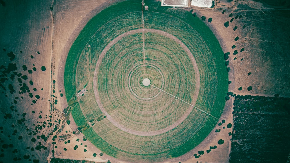 green and brown round decor