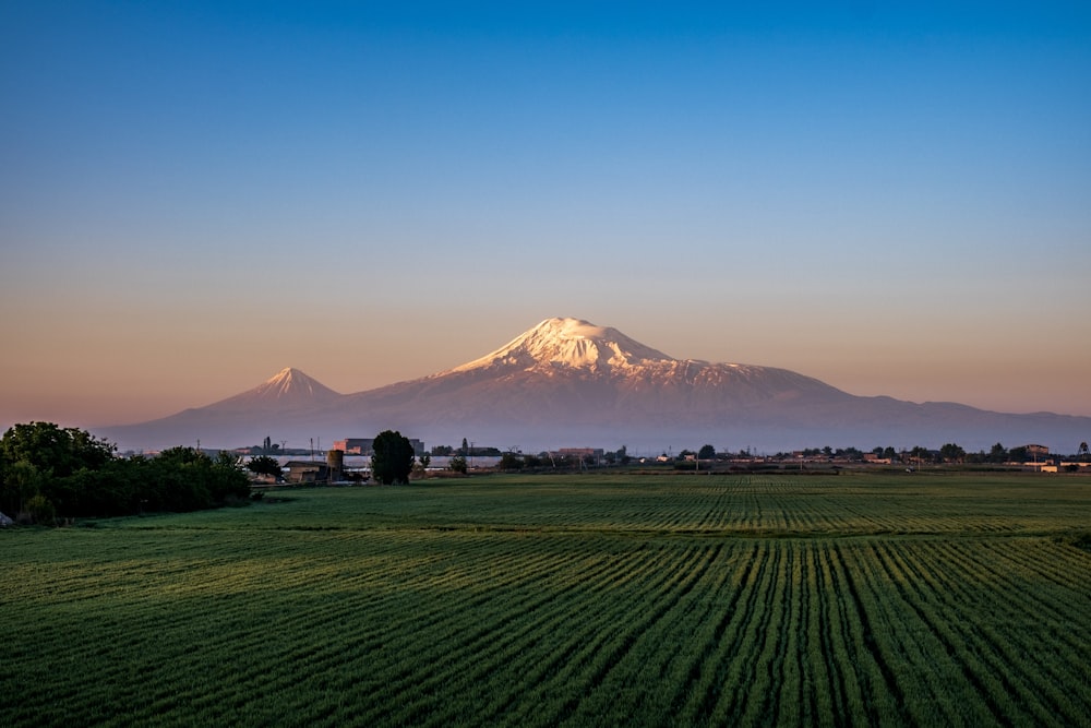 Champ d’herbe verte près de la montagne sous le ciel bleu pendant la journée