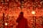 A person is standing in front of a backdrop filled with numerous glowing red lights. The lights create a mesmerizing and immersive environment. The person is holding a camera, capturing the scene or possibly taking a selfie.