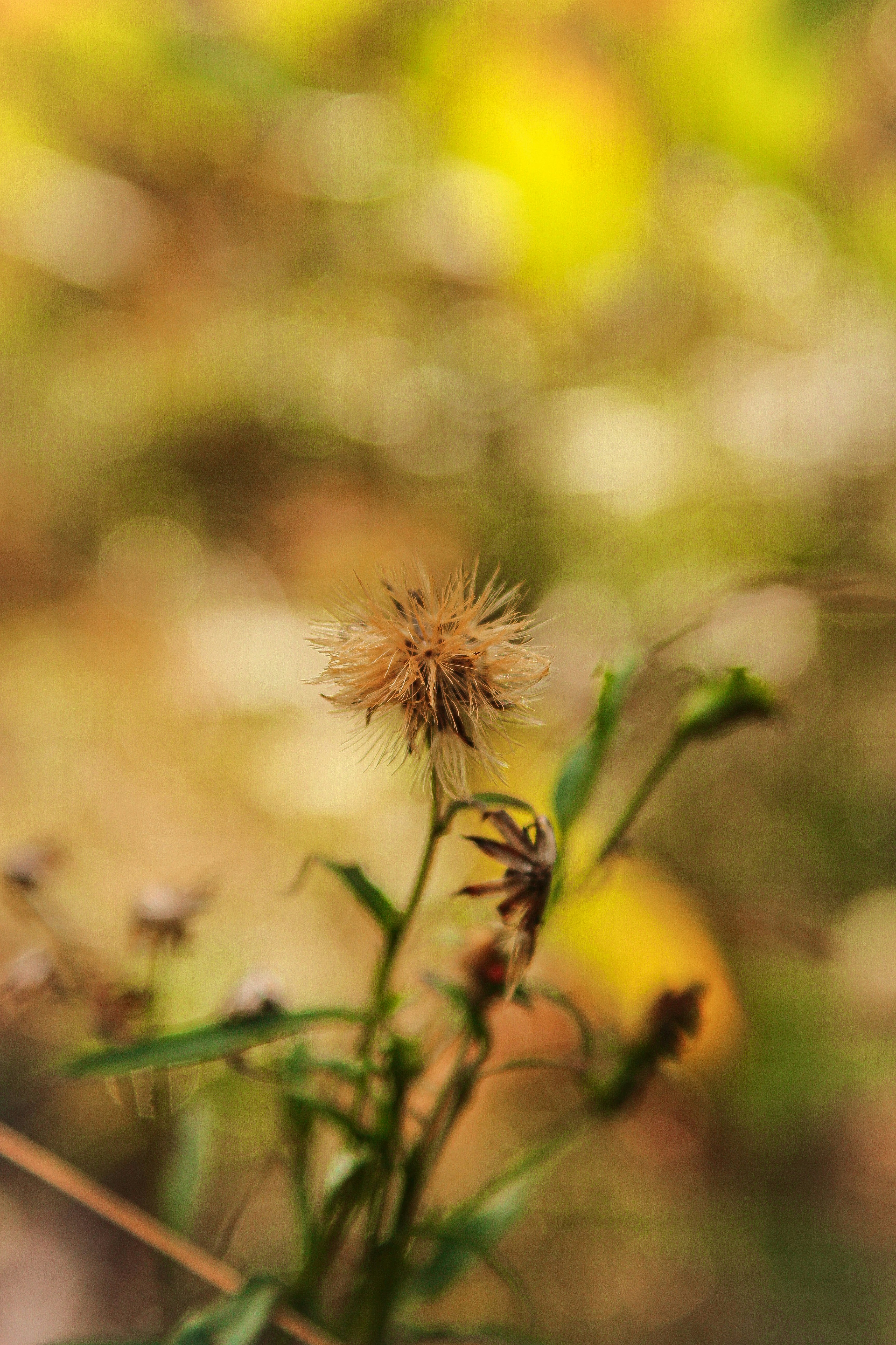 Photo by princeska77