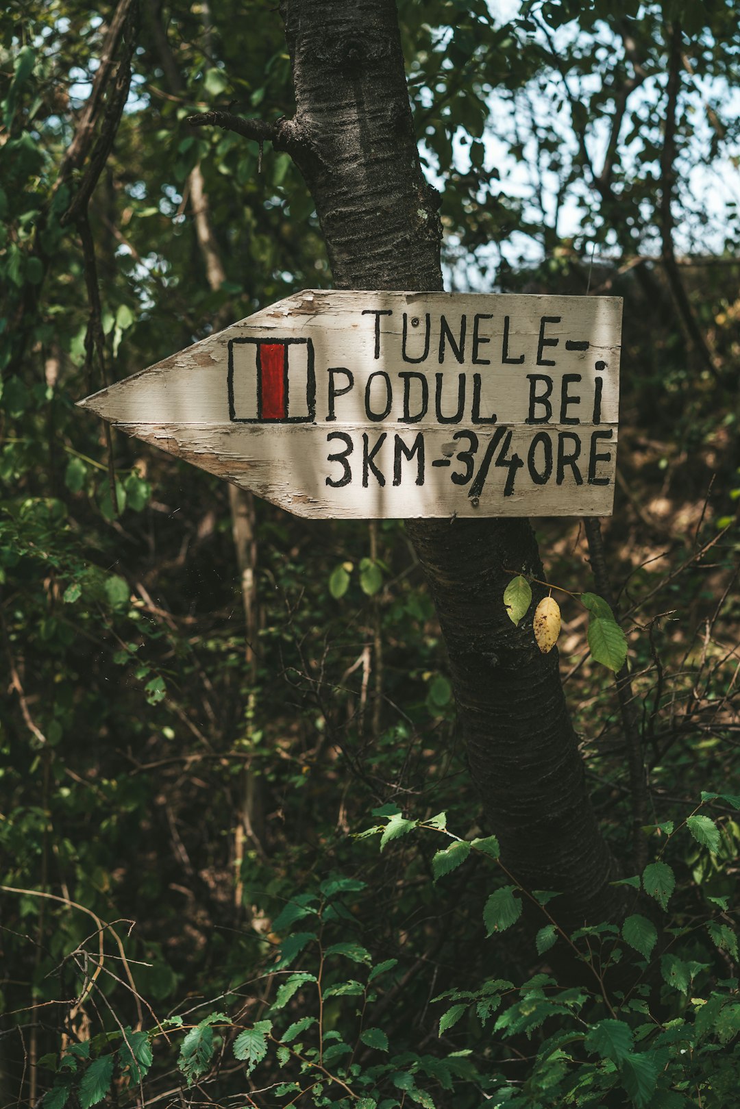 white and black wooden signage